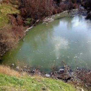 откачка септиков, заказать откачку канализации, заказать услуги ассенизаторские услуги, запах из септика, фото № 00037